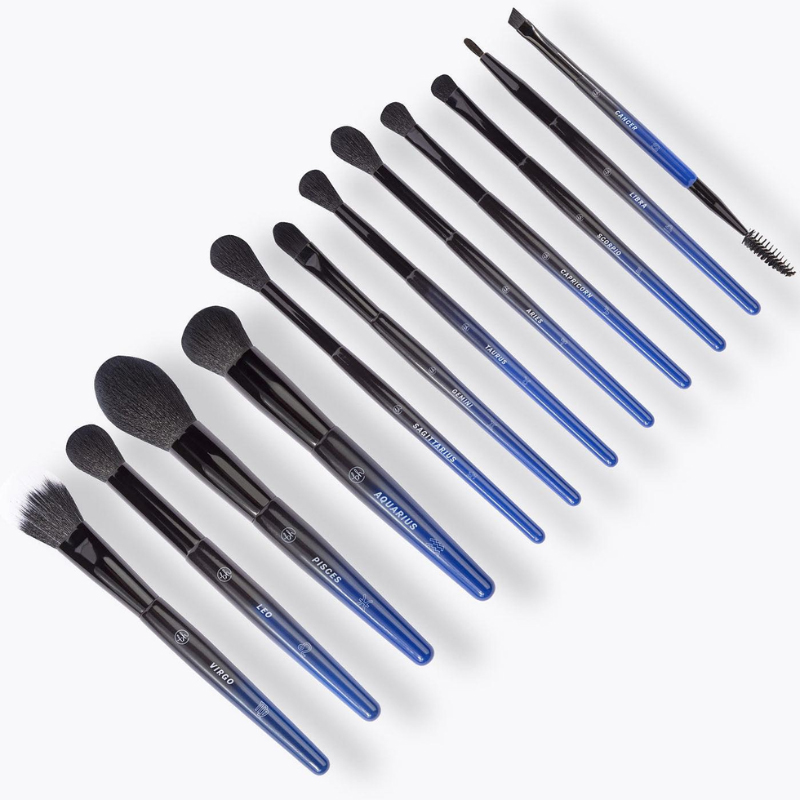 Bộ cọ cá nhân BH COSMETICS constellation 12 piece face eye brush set BHBO47